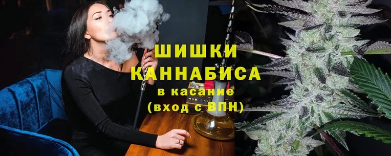 кракен   Мураши  Шишки марихуана White Widow 